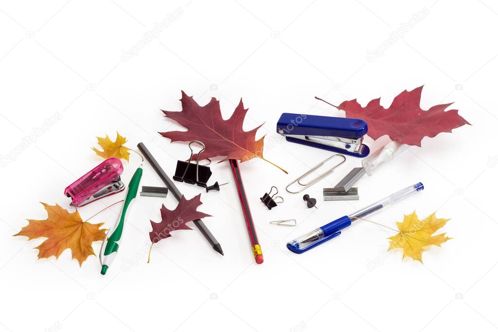 Different ball pens, pencils and other stationery among the thrown autumn leaves on a white background