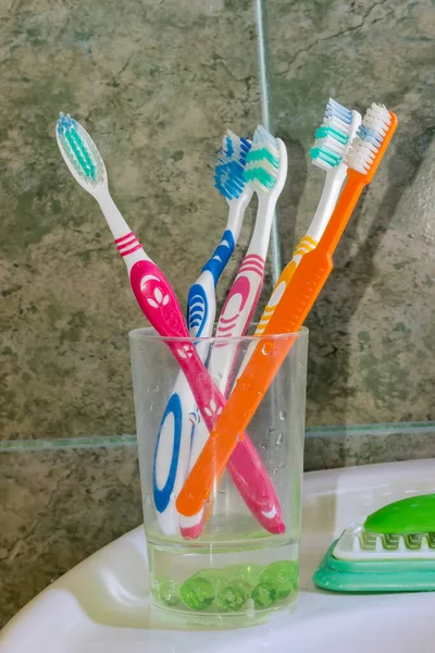 Escovas Dentes Diferentes Suporte Fundo Parede Banheiro Coberto Com Telha — Fotografia de Stock