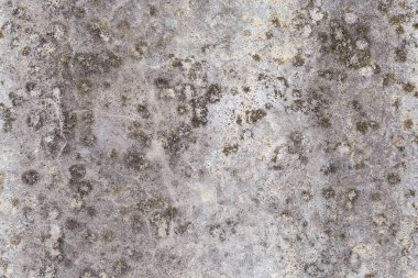 Eski istinat duvarının arka planı hafifçe liken yamalarıyla kaplı.