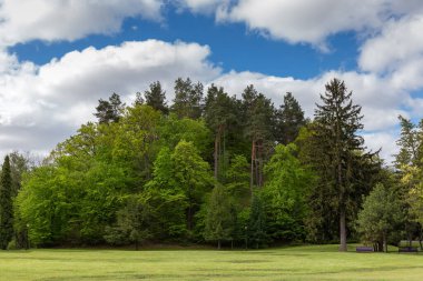 Bahar parkının ön planında büyük bir açıklığı olan yaprak döken ve kozalaklı ağaçlarla kaplanmış tepe.