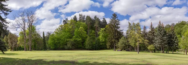 Grande Radura Circondata Vecchi Latifoglie Conifere Nel Parco Primaverile Collina — Foto Stock