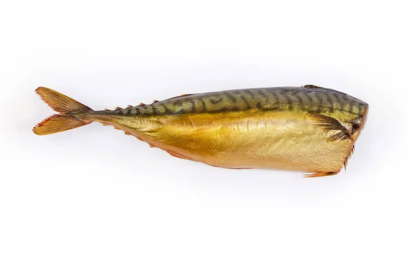 Whole Gutted Carcass Smoked Atlantic Mackerel Head White Background Side — Stock Photo, Image