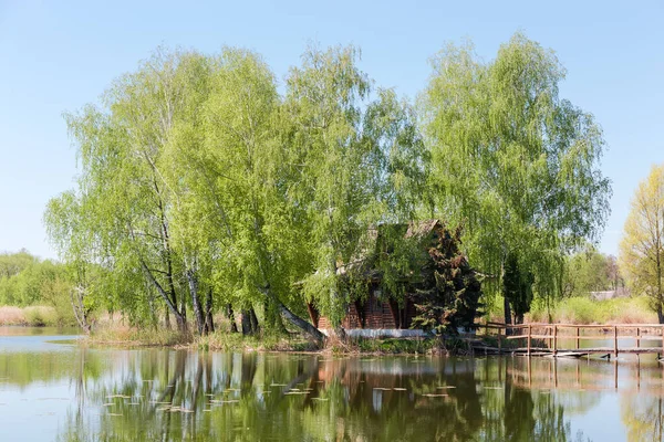 Maličký Ostrov Jezeře Romantickou Rybářskou Chatou Mezi Stromy Dřevěnou Lávkou — Stock fotografie