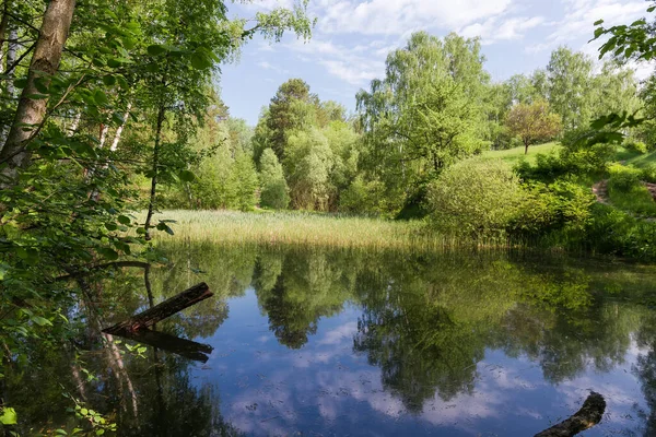 Small Shallow Lake Partly Overgrown Reeds Surrounding Forested Hills Early — Stock Photo, Image