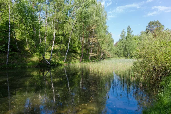 Small Shallow Lake Partly Overgrown Reeds Surrounding Forested Hills Early — Stock Photo, Image