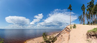 Yaz günü bulutlu gökyüzüne karşı büyüyen uzun çamlar ve panoramik manzaralı büyük rezervuarın ihtişamlı kumlu kıyısı.