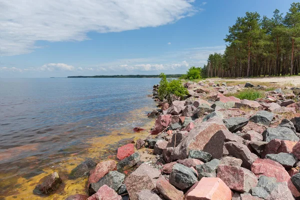 Låg Stenig Strand Stor Reservoar Överväxt Med Tallskog Mot Himlen — Stockfoto