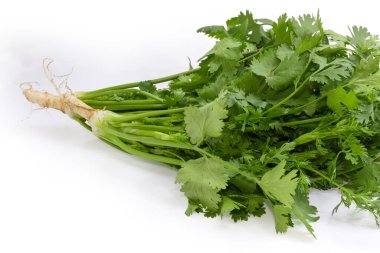 Taze yeşil kişniş kökleri beyaz arka planda, parça