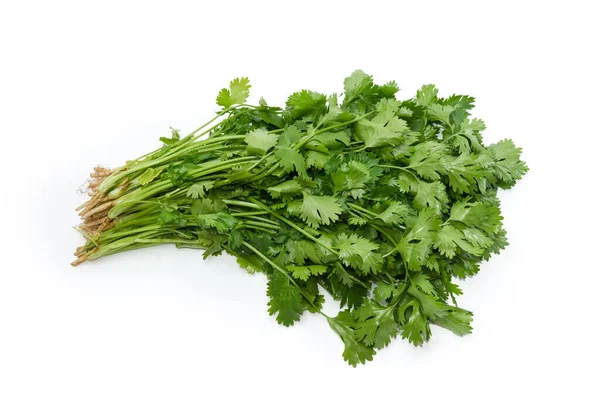 Bunch Fresh Young Green Coriander Twigs Roots White Background — Stock Photo, Image