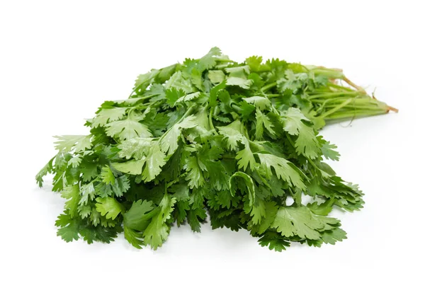 Bunch Fresh Young Green Coriander Twigs Roots White Background View — Stockfoto