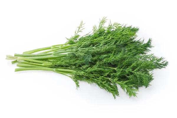 Bunch Fresh Dill Twigs White Background — Stockfoto