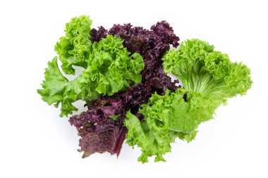 Lettuce leaves two varieties - red Lollo Rosso and pale green Lollo Bionda on a white background, top view clipart