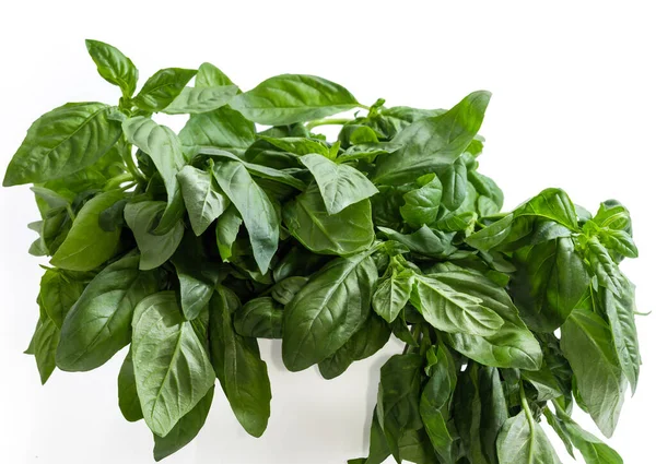 Bunch Freshly Picked Out Green Basil White Background Close — Stok Foto