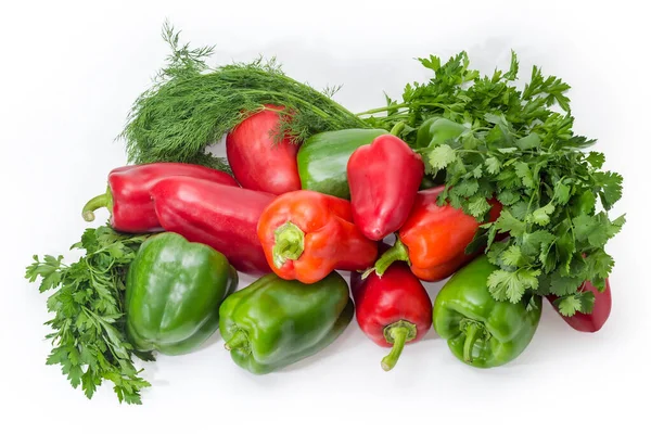 Pile Fresh Green Red Bell Peppers Bunches Parsley Cilantro Dill — Stockfoto