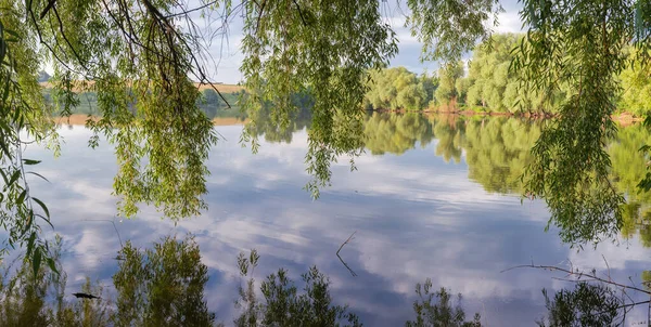 Yaz Sabahında Ağaçlarla Çevrili Bir Gölet Söğüt Dallarından Sarkan Panoramik — Stok fotoğraf