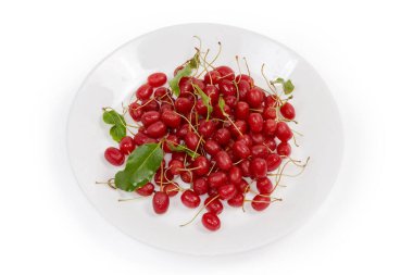 Taze toplanmış kirazlı elaeagnus böğürtlen böğürtlenleri. Ayrıca kiraz gümüşü ya da gumi olarak da bilinir. Beyaz arka planda beyaz bir tabakta meyve sapları vardır.