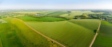 Yeşil olgunlaşmamış ekinlerle, buğday tarlalarıyla ve ön planda köy yollarıyla, havadan panoramik manzaralı hafif tepe tarlaları