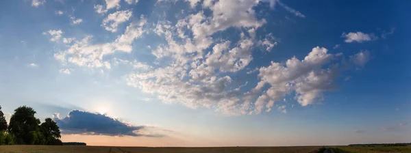 小麦畑の上に雲の後ろから積雲と太陽の光が差し込む夕空 パノラマビュー — ストック写真