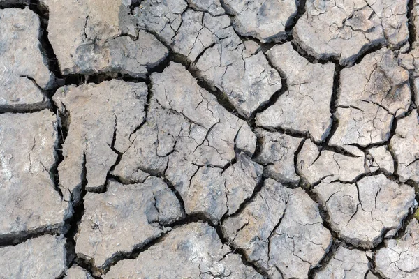 Kuraklık sırasında derin çatlaklarla kaplı kuru zemin, üst taraf yakın plan.