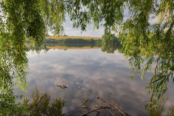 夏の朝の穏やかな天気の池 前景にぶら下がっている柳の枝を通して見る — ストック写真