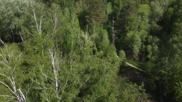 Luchtfoto Van Het Bosmeer Door Boomtakken — Stockvideo