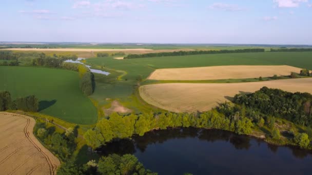 谷斜面の未熟した農業分野の空中ビュー — ストック動画