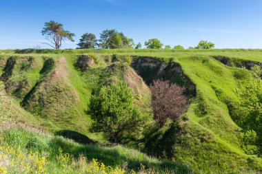 Dik vadilerle dolu yamaçlar, çimlerle kaplanmış ve ilkbaharda gökyüzüne karşı tek ağaçlar.