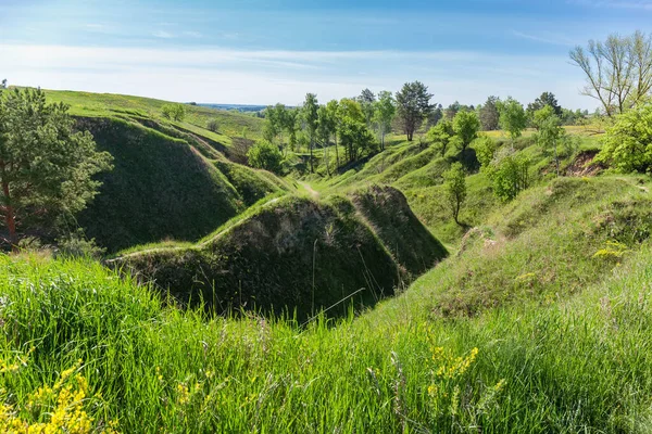 Gorge Hills Steep Slopes Precipitous Ravines Overgrown Grass Single Trees — Foto de Stock