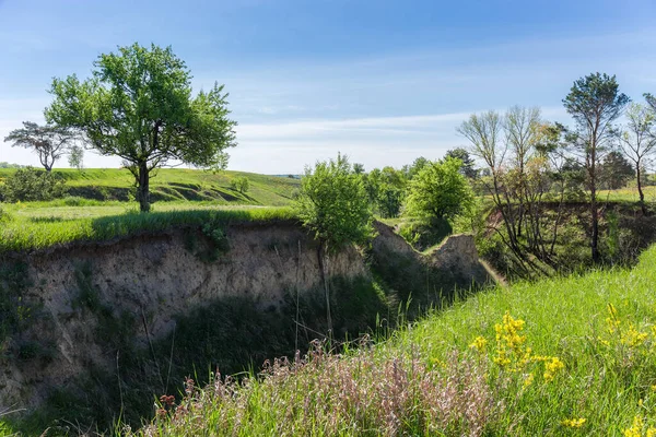 Tiefe Verzweigte Schlucht Mit Steilen Steilen Lehmhängen Die Frühling Mit — Stockfoto