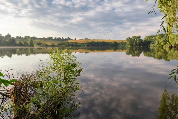 夏の朝に前景に水に落ちた木と穏やかな天気の池 — ストック写真