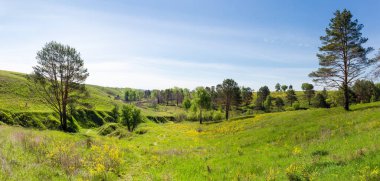 Yamaçlarda vadileri olan, çimlerle kaplanmış ve ilkbaharda gökyüzüne karşı tek ağaçlar olan, panoramik manzaralı bir vadi.