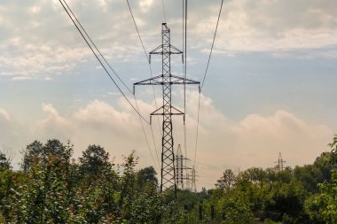 Yaz sabahı ağaçların üzerinde çeliklerle donatılmış elektrik hattı.