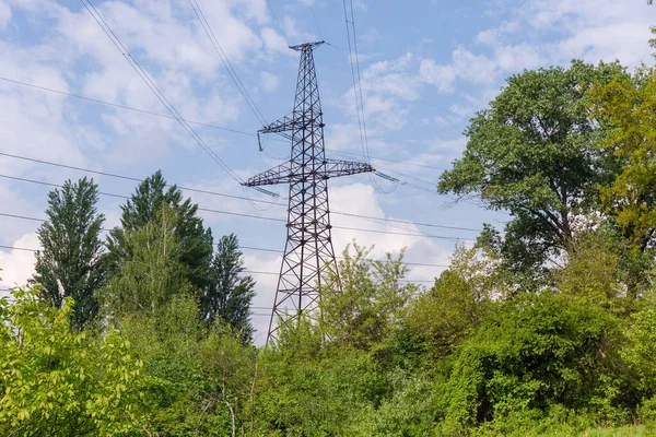 春木空に対する森の中に設置された架空送電線の鋼格子塔 — ストック写真