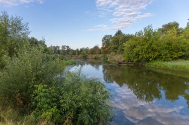 Sakin, sade nehrin kıyıları ağaçlar ve çalılarla kaplanmış bir bölümü yaz sabahı