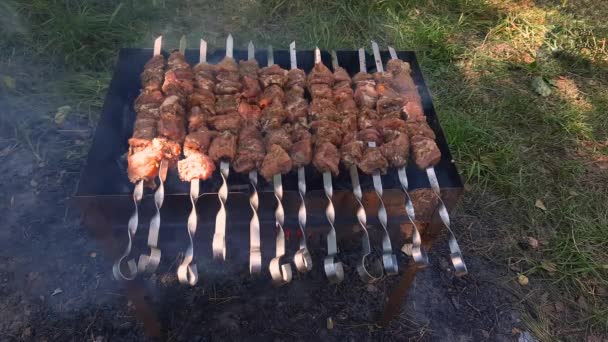 Shish Kebab Grillning Spett Fräs Utomhus — Stockvideo