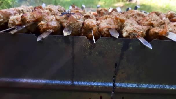 Shish Kebab Tijdens Het Grillen Spiesen Brazier Buiten — Stockvideo