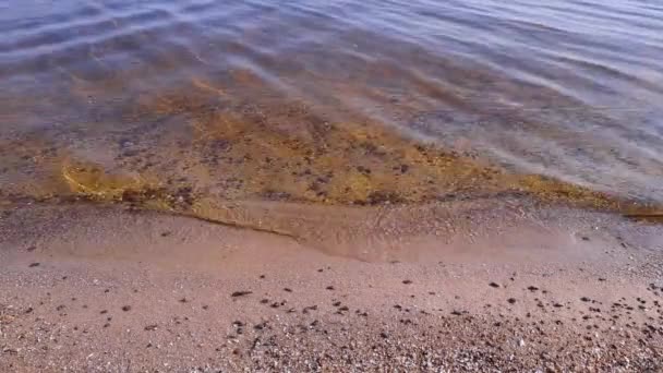 Seção Costa Arenosa Com Borda Água Com Ligeira Agitação — Vídeo de Stock