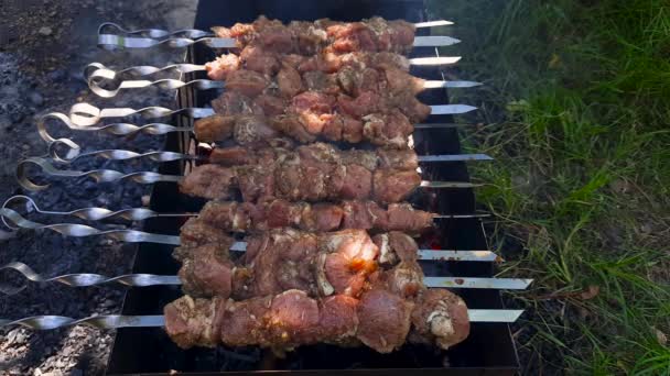 Shish Kebab Grilling Skewers Brazier Outdoors — Stock Video