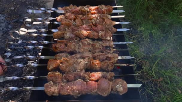 Svarvning Spett Med Shish Kebab Grillning Fräs Utomhus — Stockvideo