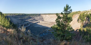 Ormanın içinde bulunan gri granitin çıkarılması için operasyon yapan, yaz sabahı açık gökyüzüne karşı ön planda genç bir çam ağacı manzaralı