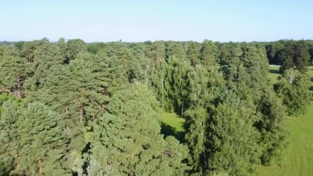 Luchtfoto Van Het Oude Park Zomerochtend — Stockvideo