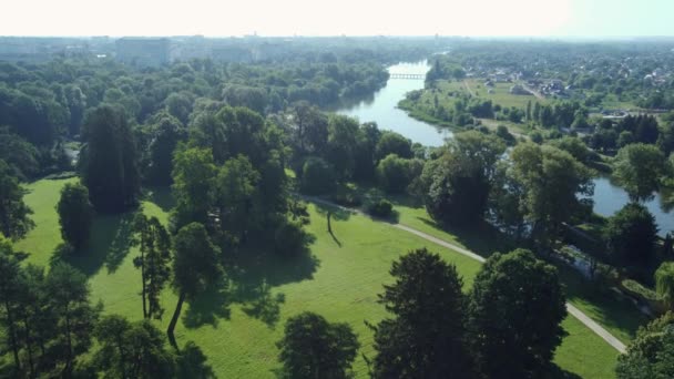 夏の朝 川の近くの古い公園 空中風景 — ストック動画