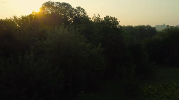 日出时从树后鸟瞰池塘 — 图库视频影像