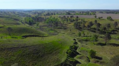 Yamaçlarda vadi çimlerle kaplı ve baharda tek ağaçla kaplı, hava manzaralı.