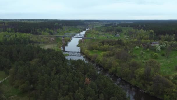 Dennenbos Aan Oever Van Rivier Twee Verschillende Truss Spoorbruggen Rivier — Stockvideo