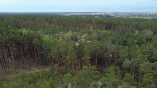 Piccolo Lago Panoramico Con Ripide Sponde Rocciose Tra Pineta Contro — Video Stock