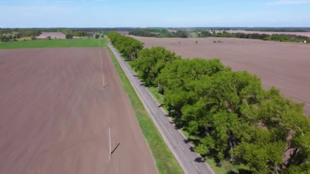 Landelijke Asfaltweg Tussen Verwerkte Landbouwvelden Naast Bosgordel Lente Vanuit Lucht — Stockvideo