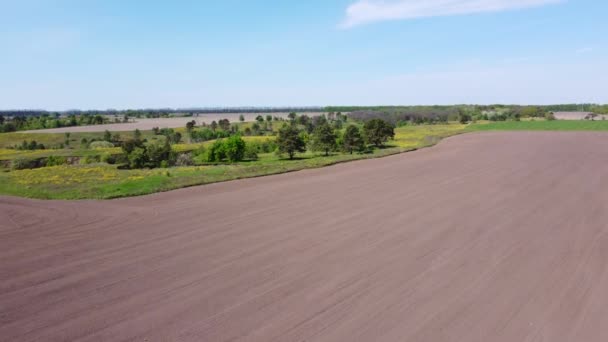 Piatto Arato Campo Agricolo Straziato Tra Burroni Contro Foresta Lontana — Video Stock