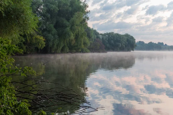 夏には海岸の古い柳と水の上の朝の霧と穏やかな天気の池 — ストック写真