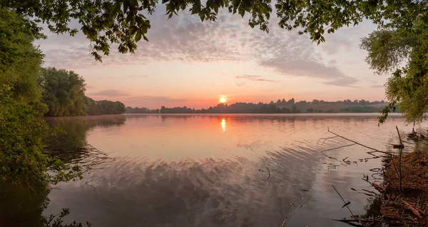 日の出の間の夏の部分的に曇りの天気の穏やかな湖 前景にぶら下げ木の枝とパノラマビュー — ストック写真
